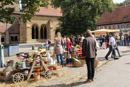 Erntemarkt